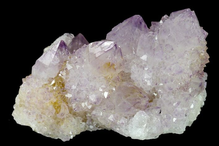 Cactus Quartz (Amethyst) Crystal Cluster - South Africa #134330